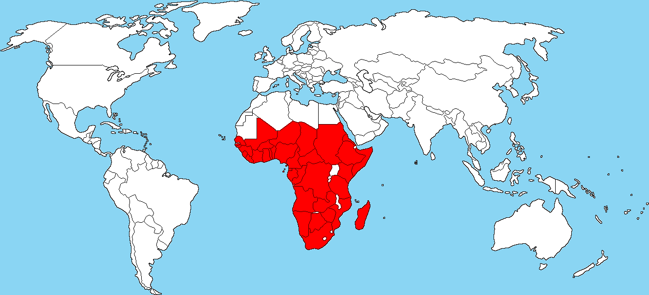 حوزه آفریقا